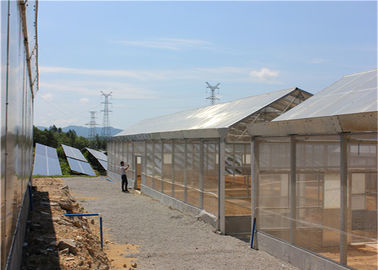 अच्छी कीमत Roof Mounted Greenhouse Solar System Photovoltaic Power Plants Agricultural Crops ऑनलाइन