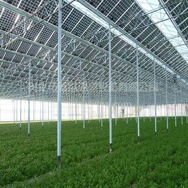 अच्छी कीमत Commercial Greenhouse Solar System Electric Power Galvanized Surface Treatment ऑनलाइन