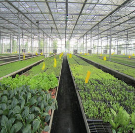 अच्छी कीमत 5kw Greenhouse Solar System Ground Mount 10-60° Tilt Angle Thickness 2.0mm/2.5mm ऑनलाइन