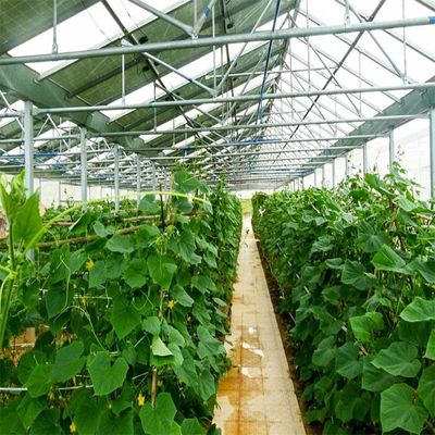 अच्छी कीमत Galvanized Anodized Solar PV Greenhouse With Shading System ऑनलाइन