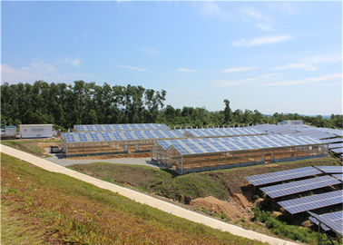 अच्छी कीमत Single Span Greenhouse Solar System Agriculture Plant Warm House Metallic Structure ऑनलाइन