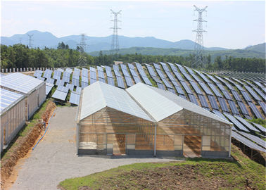 गुणवत्ता High Density Greenhouse Solar System Economical Planting Hot Dip Galvanized Steel Structure फैक्टरी