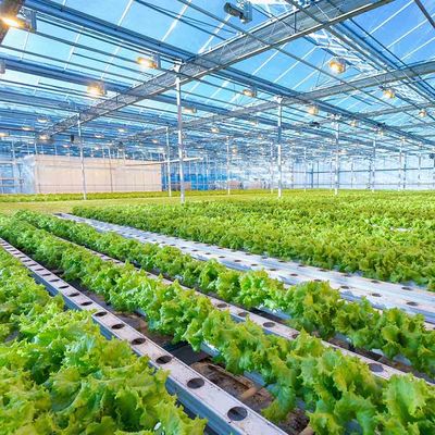 अच्छी कीमत Intelligent Adjustable Height Greenhouse  Lightweight Solar System Frame Photovoltaic Agricultural Mounting Structure ऑनलाइन