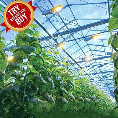 अच्छी कीमत CE Steel Frame Mounting Winter Greenhouse Solar System Tin Film Module Support Structure For Green Space ऑनलाइन