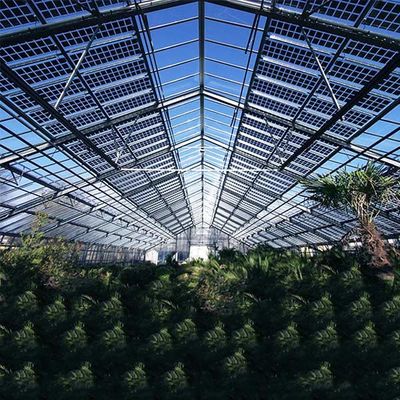 अच्छी कीमत Roof Greenhouse Solar System Photovoltaic Structure Q235 Q345 1.4KN/M2 Max Snow Load ऑनलाइन