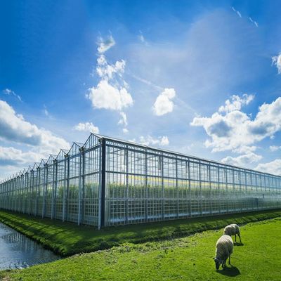 अच्छी कीमत Multi Purpose 500KW BIPV Greenhouse Solar System ऑनलाइन