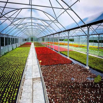अच्छी कीमत Acid Corrosion Resistant Q345B Frame Greenhouse Solar System ऑनलाइन