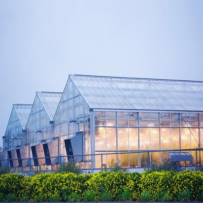 अच्छी कीमत Galvanized 12mm Thickness Film Greenhouse Solar System ऑनलाइन