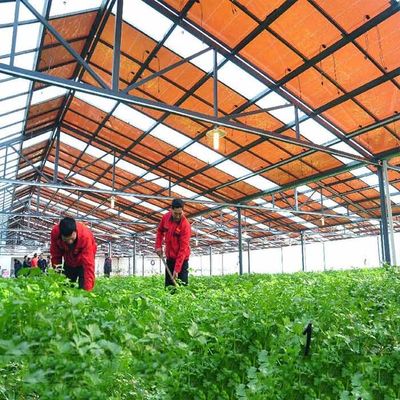अच्छी कीमत Hot Galvanized Steel Frame Thin Film Module Support Structure For Photovoltaic Greenhouses ऑनलाइन