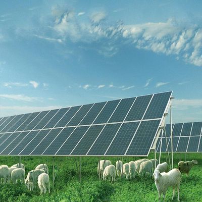 अच्छी कीमत Galvanized Base Metal Solar Panel Ground Mounting Systems Structure ऑनलाइन