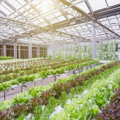अच्छी कीमत 10-60 ° Horizontal Vertical Greenhouse Solar Systems 36.9m/S wind Load ऑनलाइन