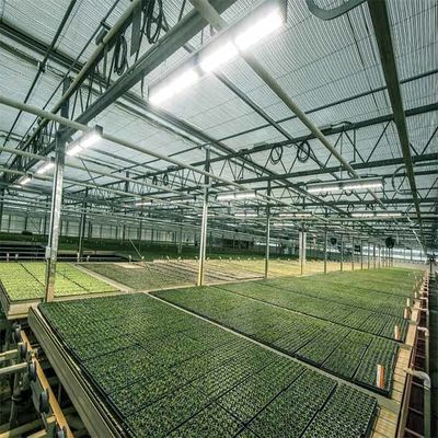 अच्छी कीमत A Frame Outdoor Irrigation Agricultural Solar Powered Greenhouse ऑनलाइन
