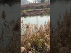 3 Inch DC Submersible Deep Well Water Pump with MPPT Controller